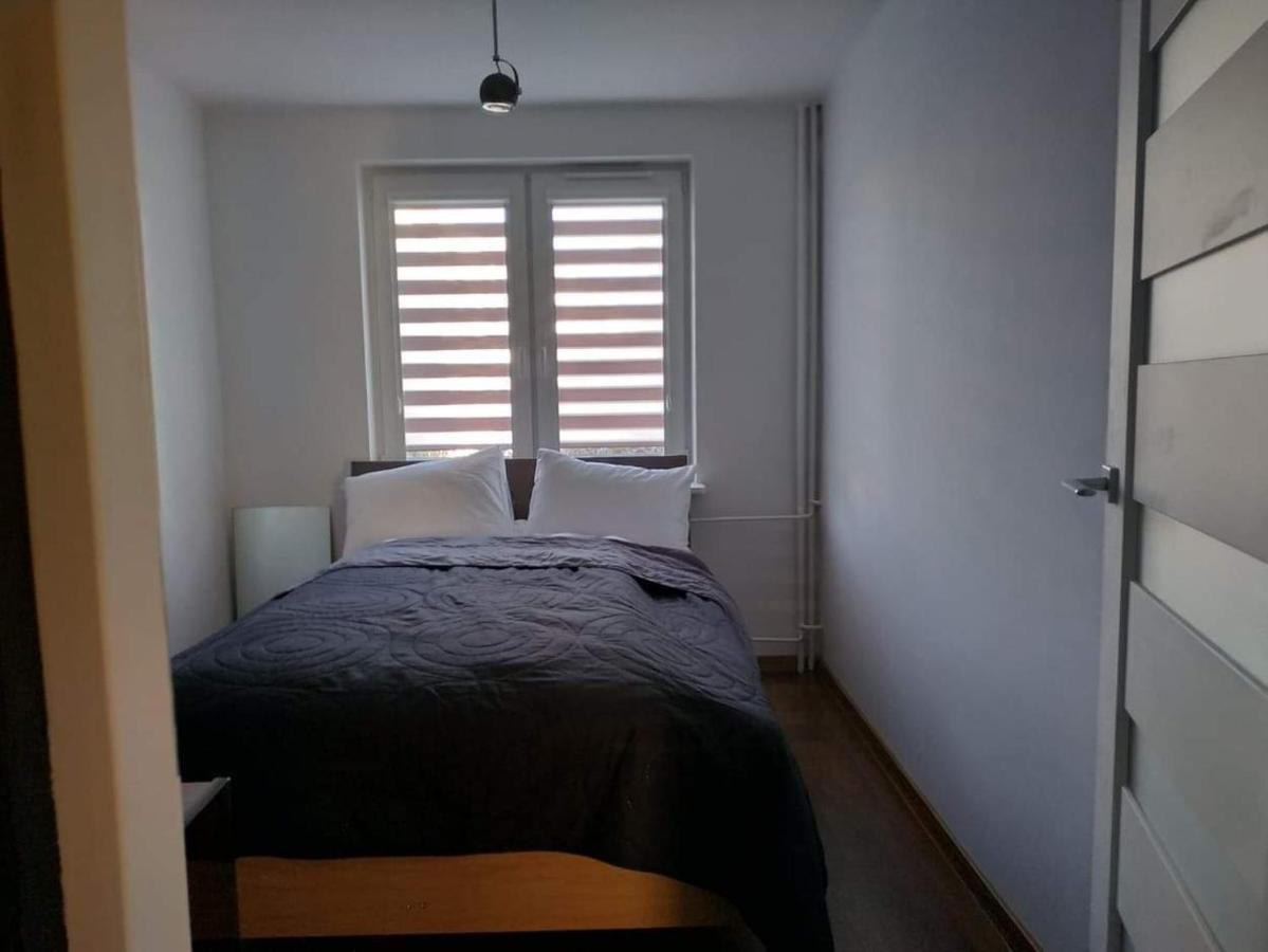 Mieszkanie Nad Sanem Sanok Extérieur photo